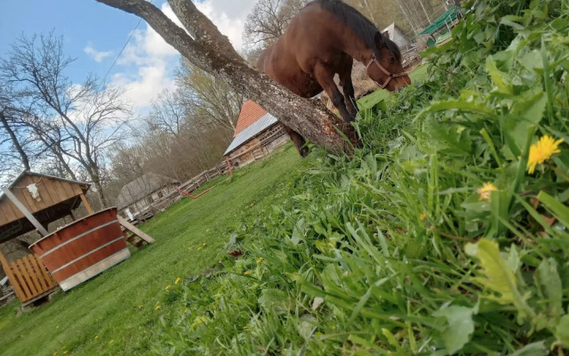 Room in B&B - Camping Retreat Mountain Sanctuary