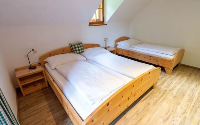 Infanglalm "attersee"