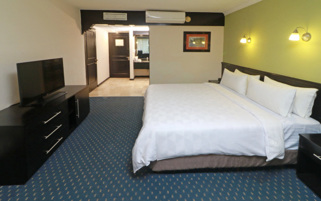 Holiday Inn San Luis Potosi Quijote by IHG