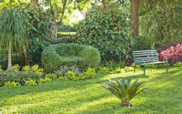 Sunbird Ku Chawe