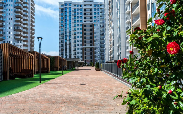 Orange Apart Alpine Quarter