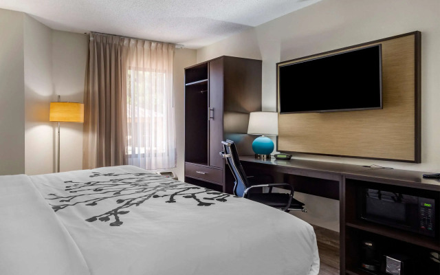 Sleep Inn - Salisbury I-85