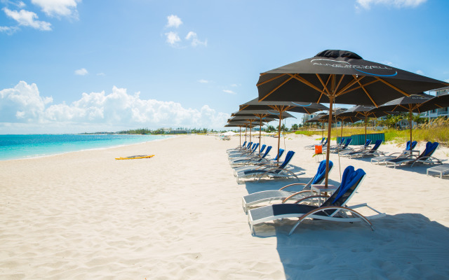 One On Marlin – Adults Only