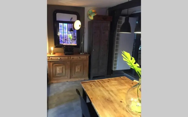 T3 duplex industriel hyper centre ville historique