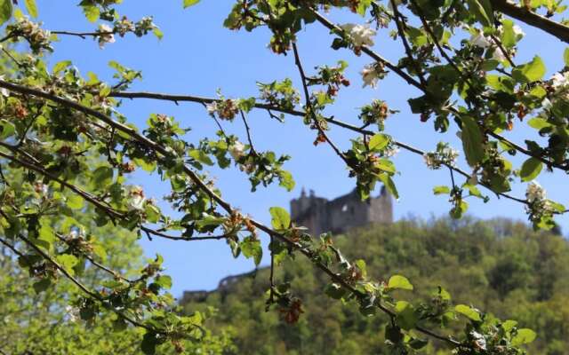 El Camino de Najac B&B