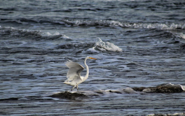 San Marcos 124 Gran Pacifica Resort