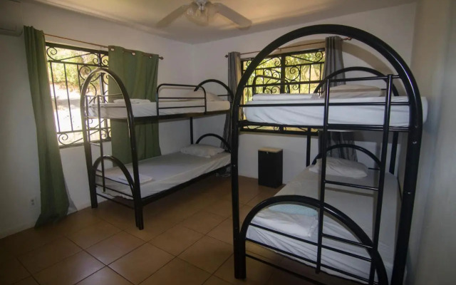 Wipeout Hostel
