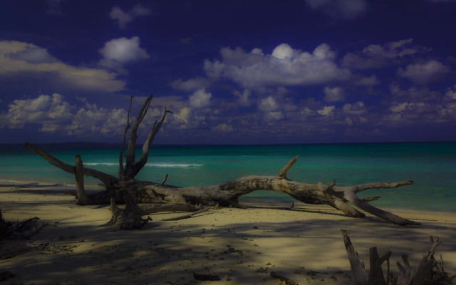 The Flying Elephant Resort-Havelock Island