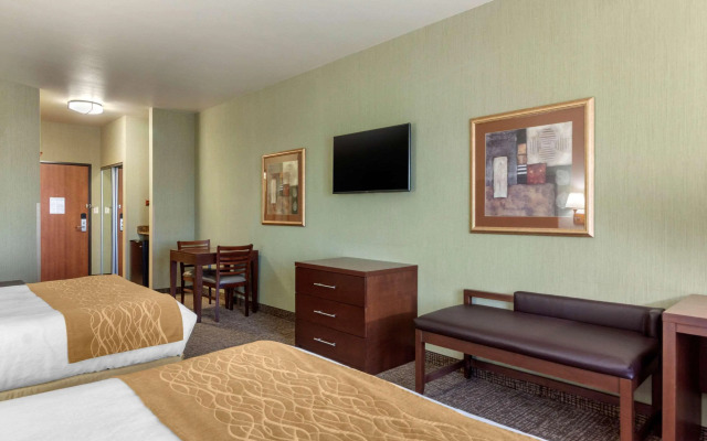 Comfort Inn & Suites Mitchell I-90