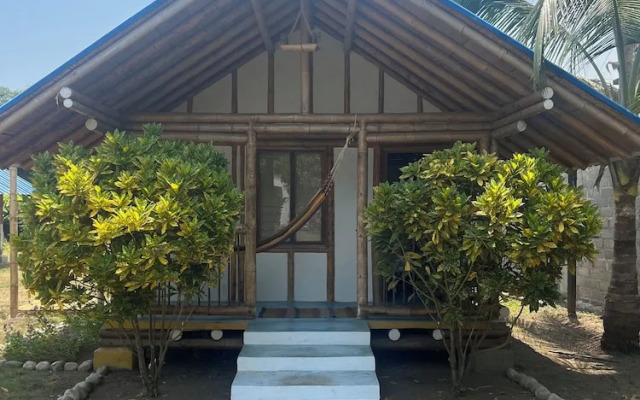 Tree of Life - Hostel