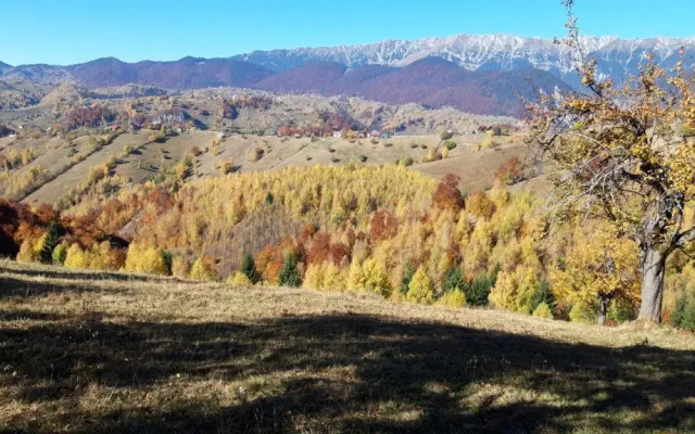 Casa Claudiu