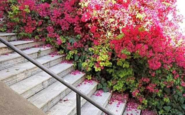 Plues 43 suites Athens / C