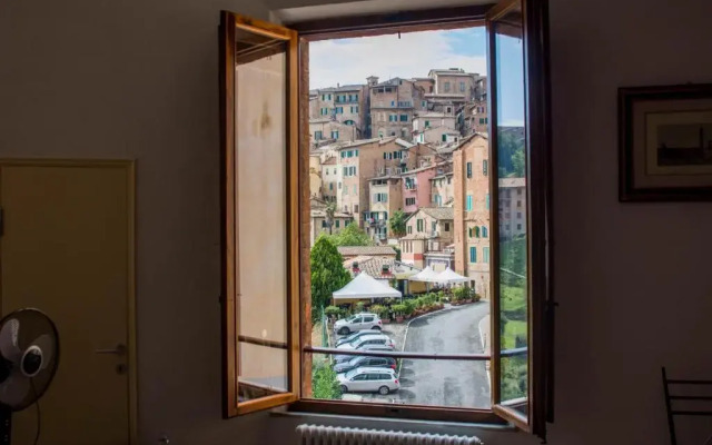 Salicotto 56