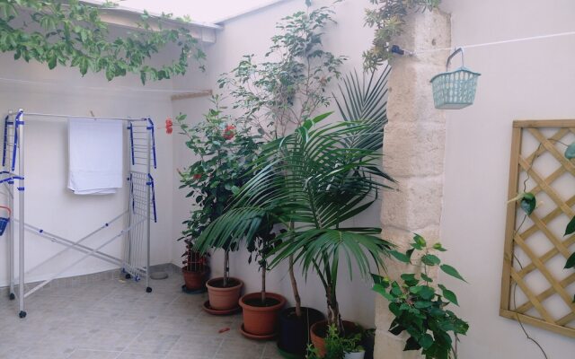 Casa Narciso