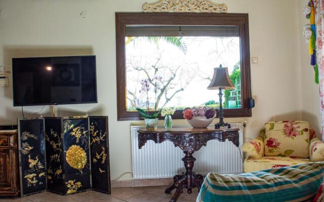 Sofia's House