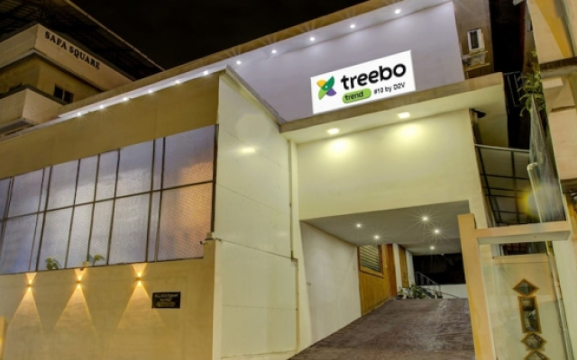 Treebo Trend 10By D2V