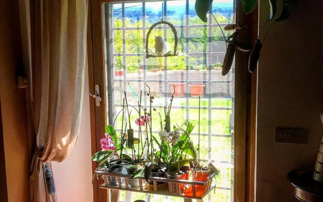 Alloggio Turistico Vigna Clara