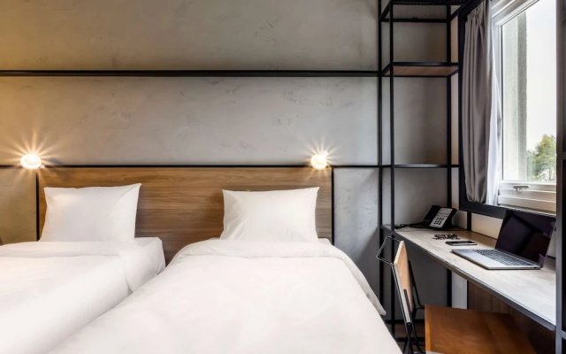 Ibis Aruja