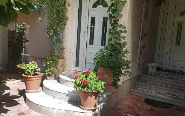 Luxury Apartments Belgrade