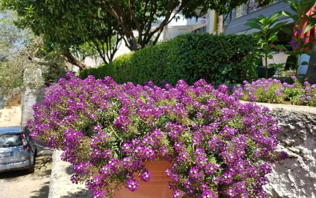 Villa Meminaj Vlore, Sea View and Garden, Vlore