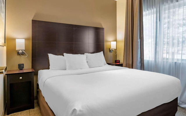 Comfort Inn And Suites Paw Paw