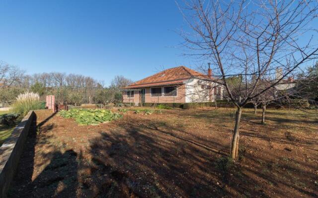 House Jasmin large garden, near Nin