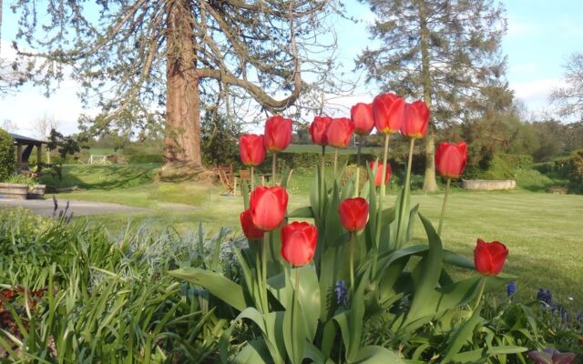 The Bowens Bed & Breakfast