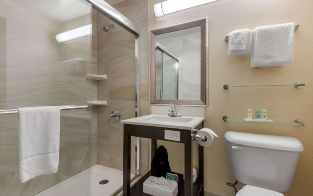 Quality Inn & Conference Centre Downtown