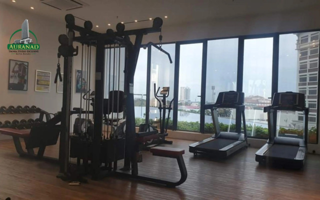 Auranad Troika Level 33