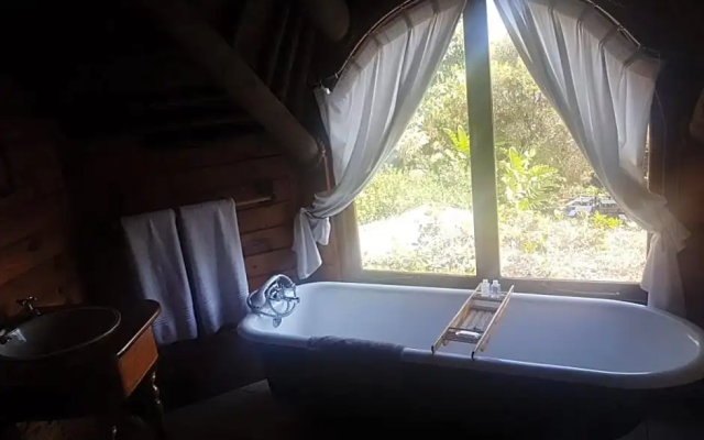 Monkey Valley Resort