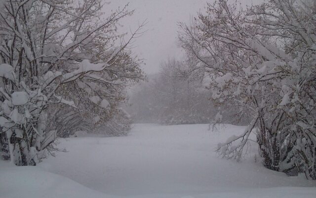 Apartamentos Nevandi