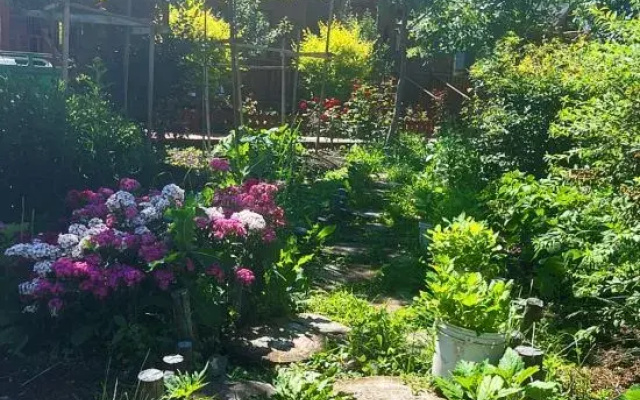 Nala Tixi Yuhuajiantang Homestay