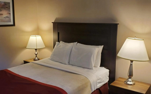 Bellis Inn