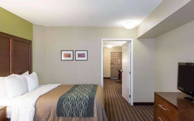 Comfort Inn & Suites Fayetteville - University Area