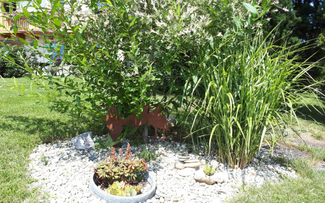 Pension Kreuzinger, 5310 Tiefgraben