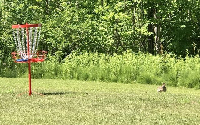 Cedar Ridge Cabins