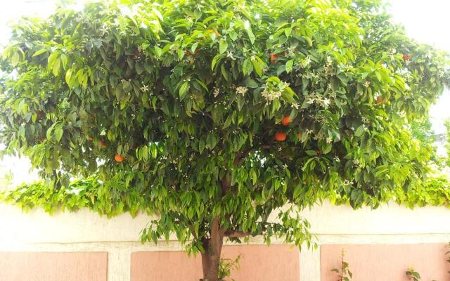 Riad Raouia