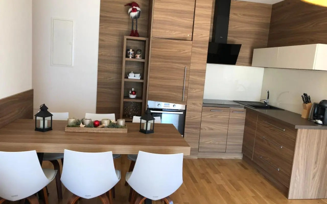 Apartment SCHLADMING - Planai view