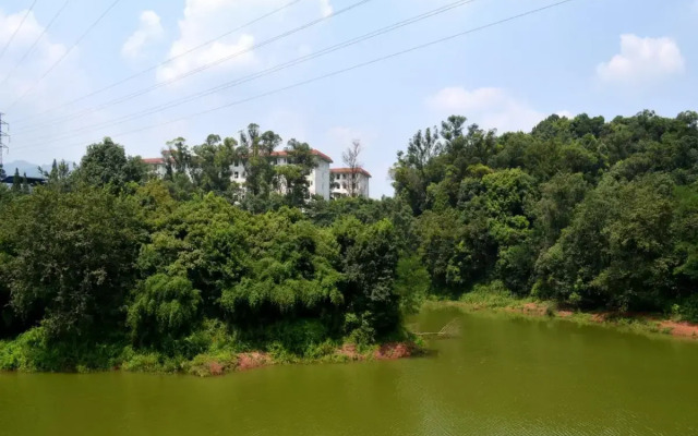 Phoenix Lake Impression Emei Hotel