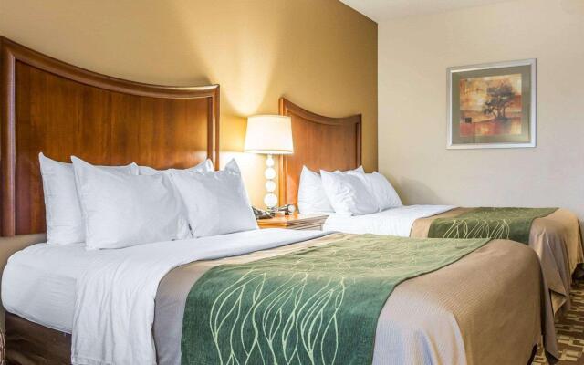 Comfort Inn & Suites Orangeburg