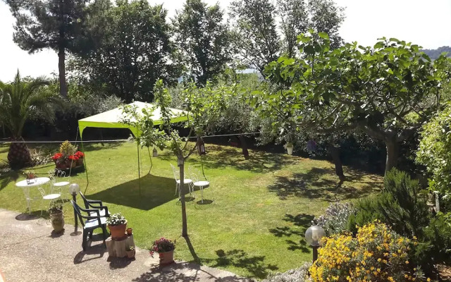 B&B L'Albero Di Antonia