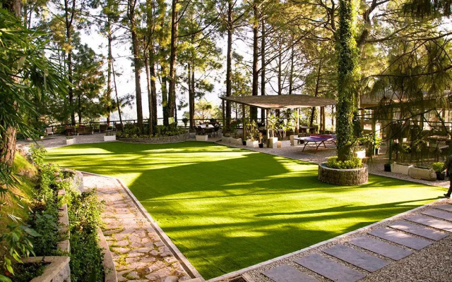 Kasauli Hills Resort