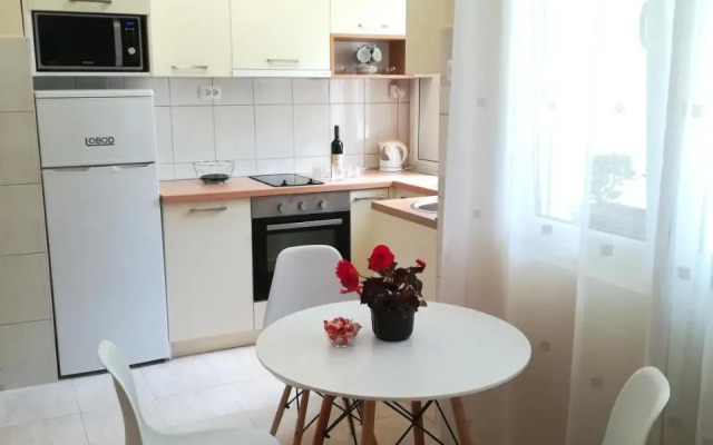 Apartment Nikolic Kotor