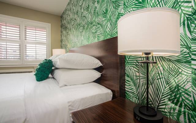 The Local - St. Augustine