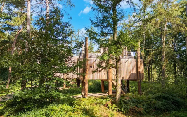 Stylish Retreat With Sauna