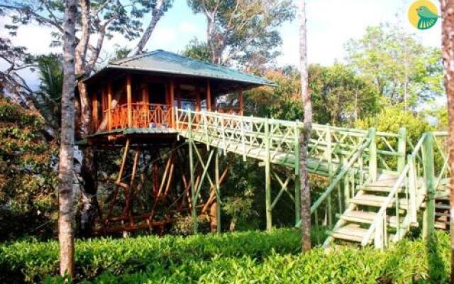Treehouse with Wi-Fi in Munnar, by GuestHouser 10760