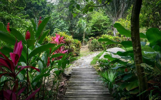 Ecohabs Bosques del Tayrona