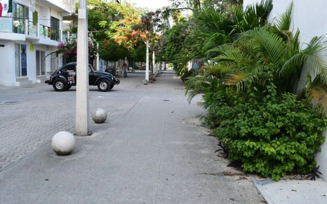 Playa as it Should be