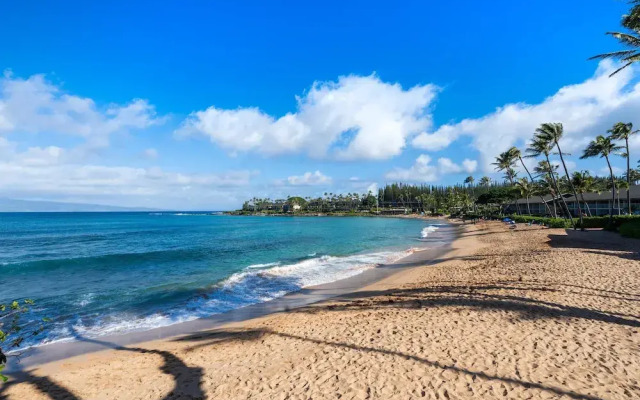 Napili Surf 207 in Lahaina