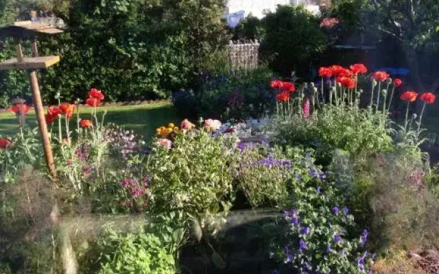 Rowan Cottage Guest House - фото 2